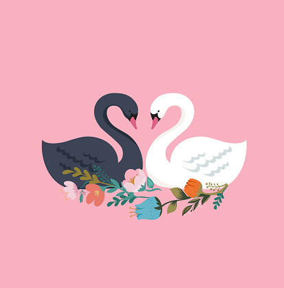 Swan lake, illustration, greeting card and poster