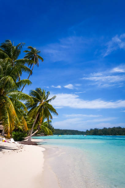 istock Paradise tropical beach and lagoon in Moorea Island 672782160