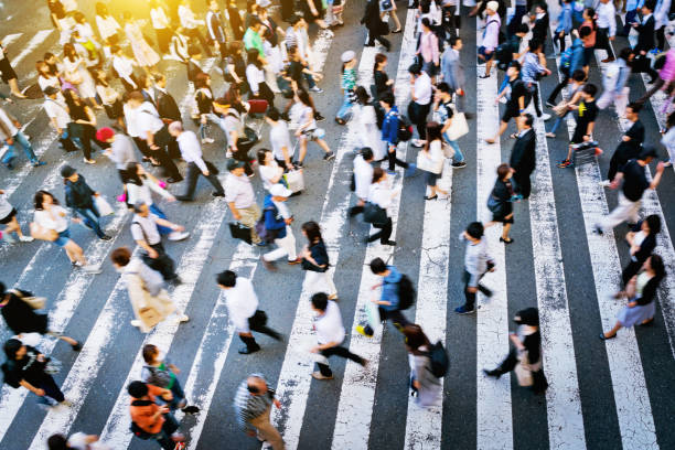 istock Busy Zebra crossing in Japan 672785260