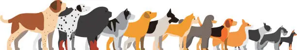 Vector illustration of set of dog breeds, side view, vector illustration