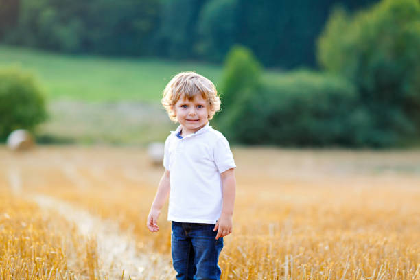Happy blond kid boy enjoying sunset in wheat field. Beautiful adorable little toddler walking through corn field. Happy funny child on meadow on a sunny evening. Nature, outdoors, summer.