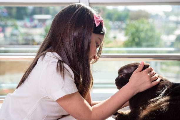 istock little girl is playing with her cat 672806364