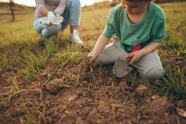 istock Gardening with my son 672816364