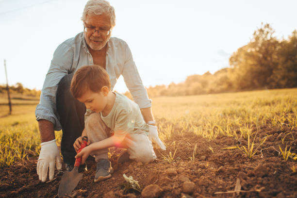 ガーデニング、私の孫息子 - grandparent gardening child grandchild ストックフォトと画像