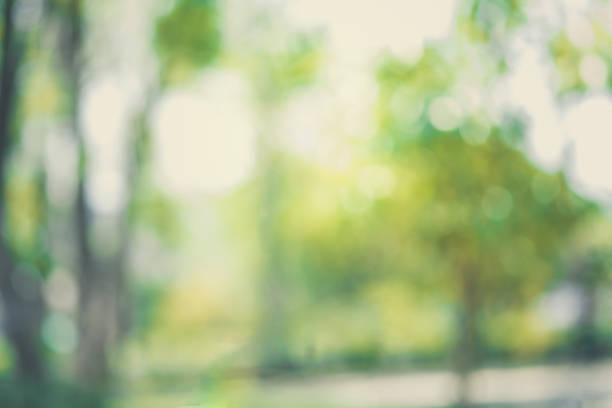 istock natural blurred bokeh background in garden 672820676