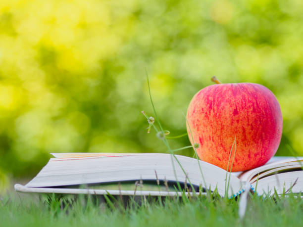 istock World Book Day concept. Red apple and pen put on open book 672823998
