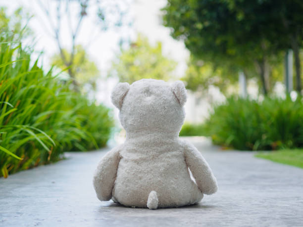 istock Lonely Teddy Bear Sitting on the walk way or road (Concept about love) 672824296