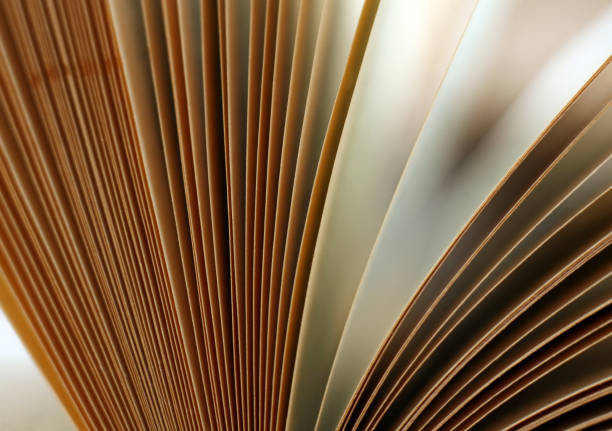 istock The image of the open book close-up 672824460