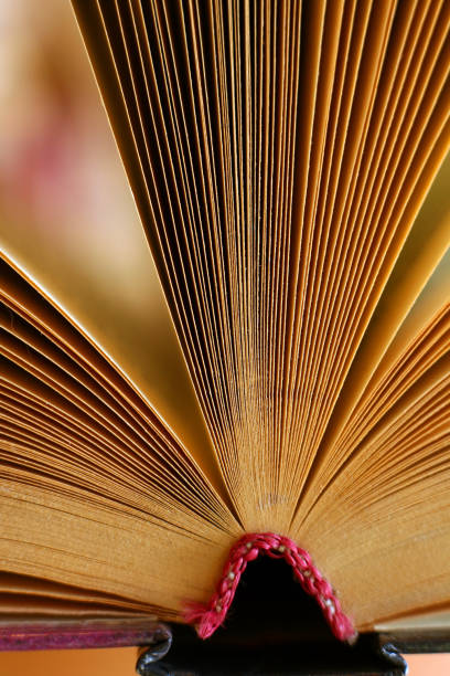 istock Two old books close up. With use of a macro-ring 672825486