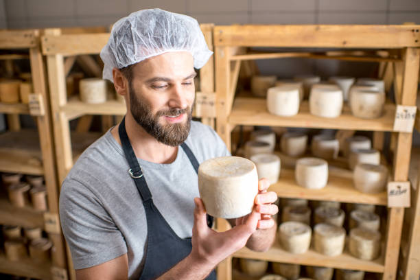 producent sera w piwnicy - cheese making zdjęcia i obrazy z banku zdjęć