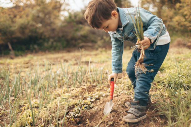 istock Little boy gardening 672827428