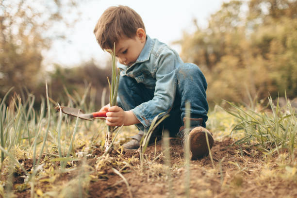Little boy gardening