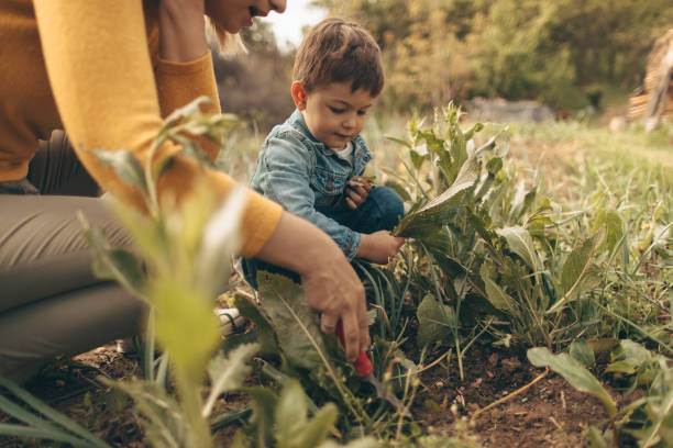 istock Gardening with my mother 672827802