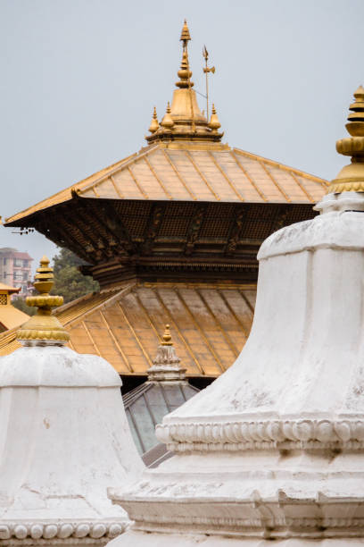 close-up do telhado do templo dourado em pashupatinath. kathmandu, nepal. - golden temple - fotografias e filmes do acervo