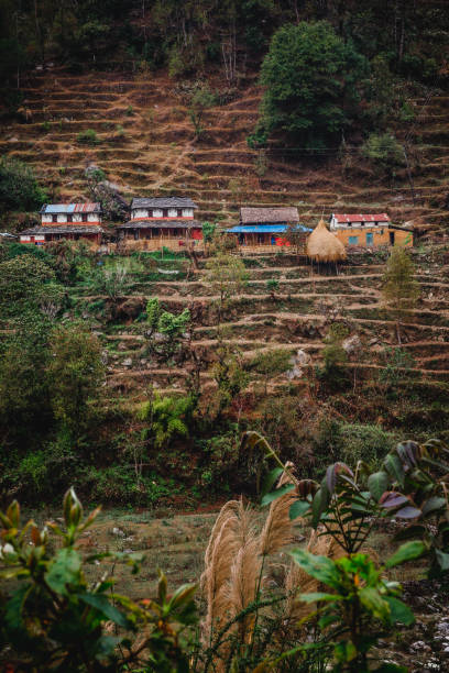 Nepal, March 2017: A village perched on the side of a hill surrounded by terraced fields in the Annapurna region. Seen just off the Annapurna Circuit trek. stock photo