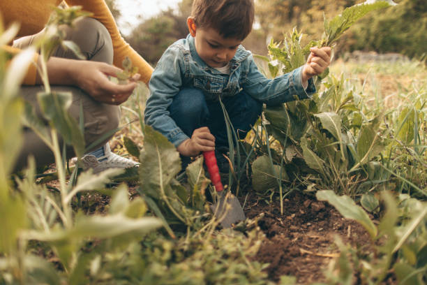 istock Gardening with my mother 672828274