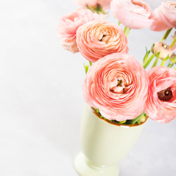 istock Beautiful pink ranunculus bouquet 672830636