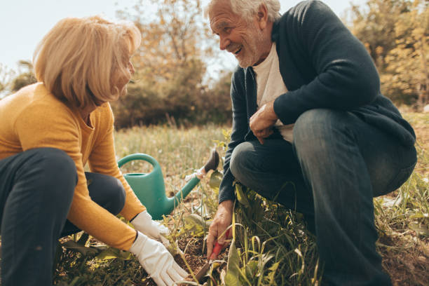 istock Senior couple gardening together 672832502