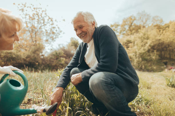 istock Senior couple gardening together 672832668
