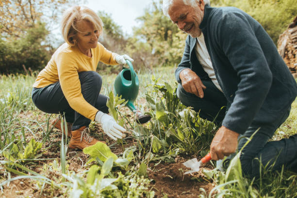 giardinaggio insieme - gardening couple senior adult ethnic foto e immagini stock