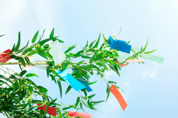 istock Tanabata Festival image 672837474