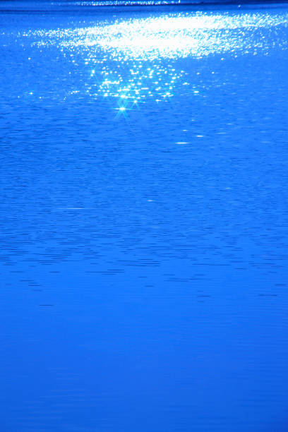 istock Surface of the water 672841768