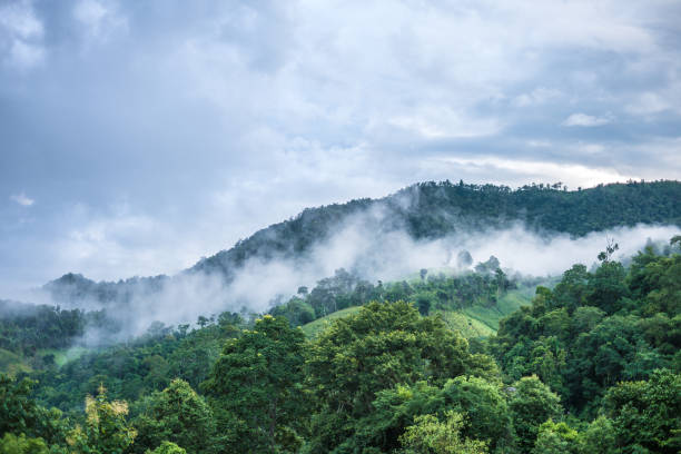 istock Green foggy mountain 672853190