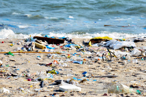 zanieczyszczenie plaży. plastikowe butelki i inne śmieci na plaży morskiej - pollution sea toxic waste garbage zdjęcia i obrazy z banku zdjęć