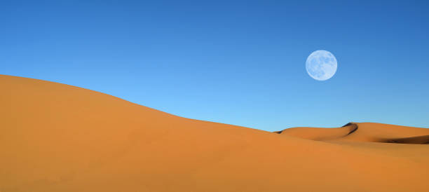 istock Beautiful sand dunes and blue sky 672875792