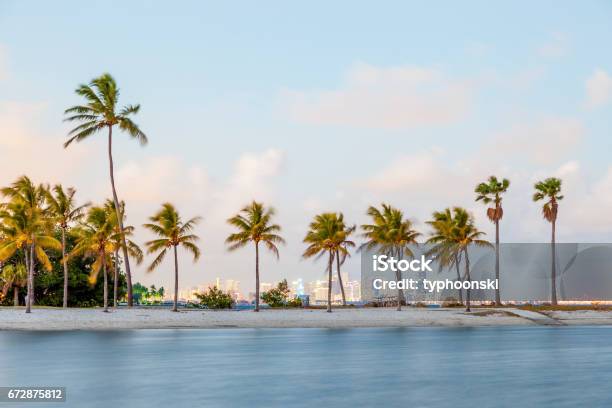 Tropical Beach In Miami Florida Stock Photo - Download Image Now - Coral Gables, Florida - US State, Miami