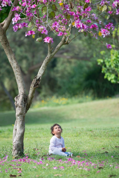 istock Girls sitting under tree in bloom season. 672889956
