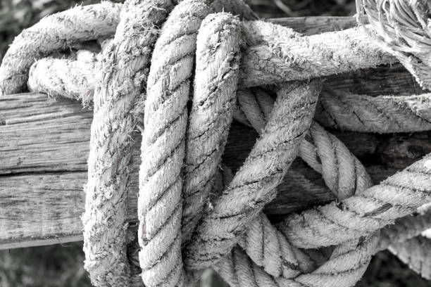 istock Texture of an old rope 672891798