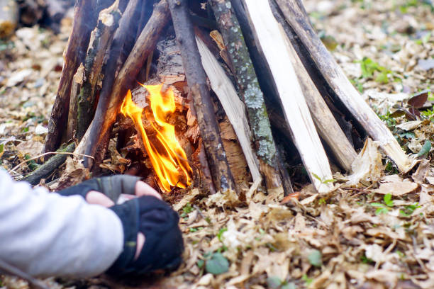 istock In the spring forest a tent with a fire 672891938