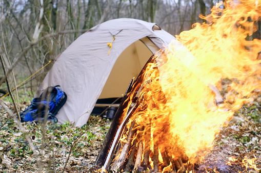 In the spring forest a tent with a fire