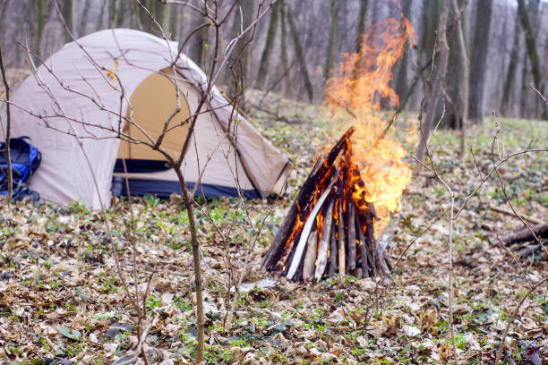 In the spring forest a tent with a fire