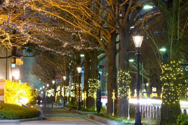 istock Yamashita Park Street illumination 672892030