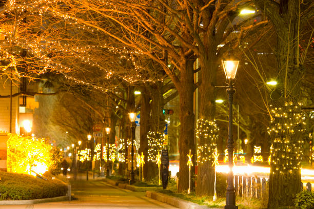 istock Yamashita Park Street illumination 672892046