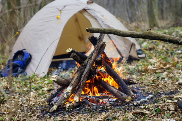 istock In the spring forest a tent with a fire 672892060