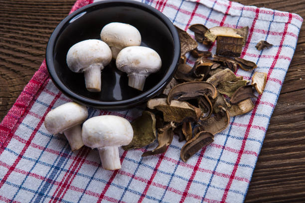Mushrooms on wooden background. Vector illustration.
