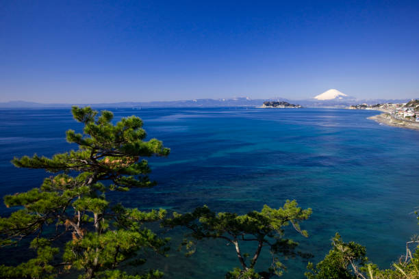 istock Mt. Fuji and Enoshima 672894552