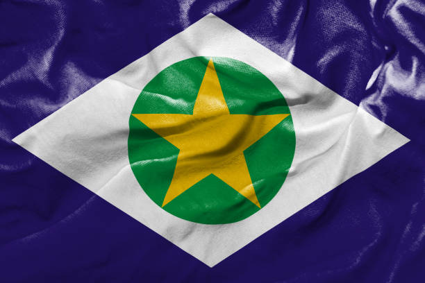 istock Waving Flag of Matogrosso, Brazil 672905926