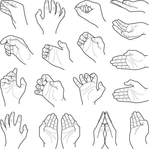 Hands Hand collection - vector line illustration knuckle joint stock illustrations