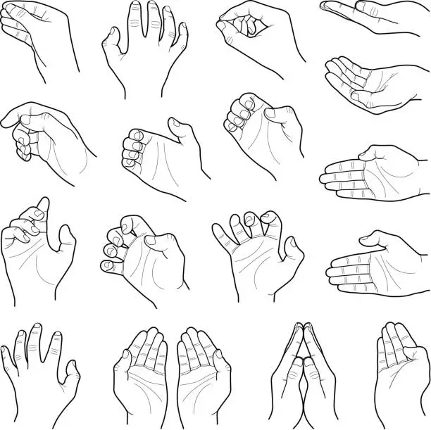 Vector illustration of Hands