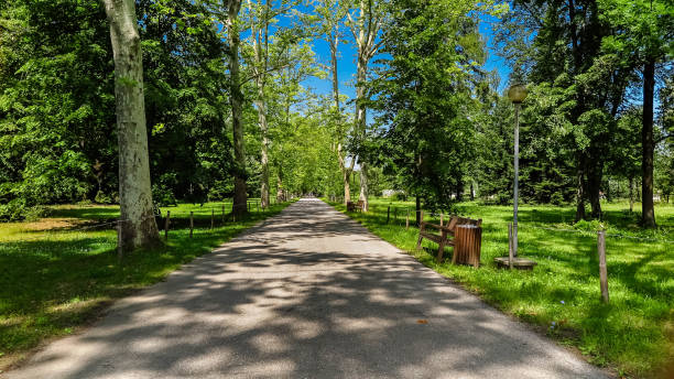 istock Alley in Park  Sofia. Bulgaria. 672916184