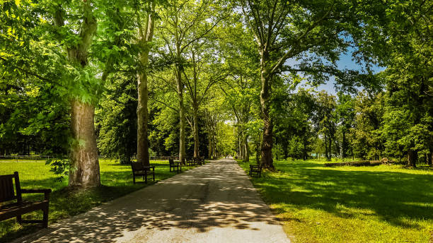 istock Alley in Park  Sofia. Bulgaria. 672916186