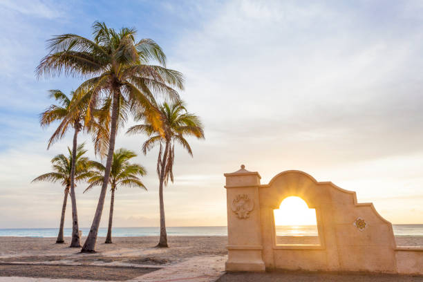 Palm trees at sunrise in Hollywood, Florida Palm trees at sunrise in Hollywood Beach. Florida, United States hollywood florida stock pictures, royalty-free photos & images