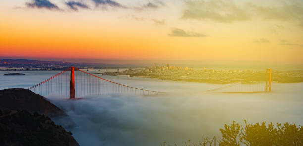 istock beautiful san francisco city skyline 672919854