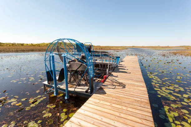 Airboat in the Everglades, Florida