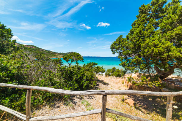 istock Wooden handrail in Capo Coda Cavallo 672933444