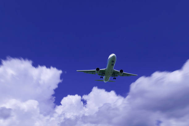 istock Aircraft and towering cloud in summer 672940766
